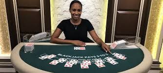 0088bet